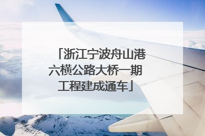 浙江宁波舟山港六横公路大桥一期工程建成通车