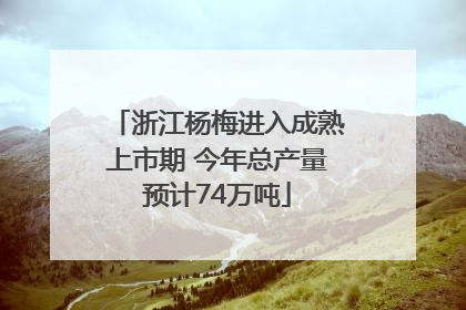 浙江杨梅进入成熟上市期 今年总产量预计74万吨