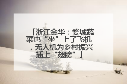 浙江金华：婺城蔬菜也“坐”上了飞机，无人机为乡村振兴插上“翅膀”