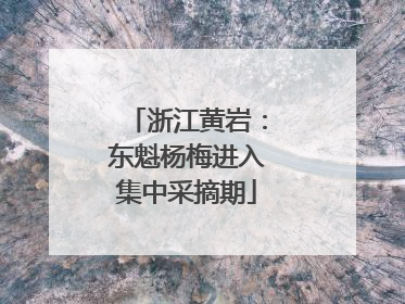 浙江黄岩：东魁杨梅进入集中采摘期