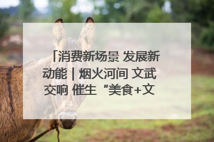 消费新场景 发展新动能｜烟火河间 文武交响 催生“美食+文化”消费新场景
