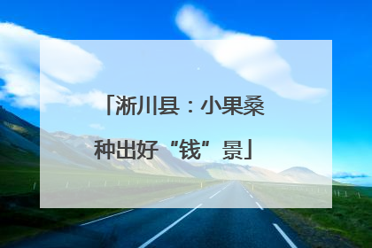 淅川县：小果桑种出好“钱”景
