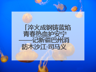 淬火成钢铸蓝焰 青春热血护安宁——记新疆巴州消防木沙江·司马义的逆行人生