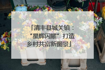 清丰县城关镇：“星辉闪耀”打造乡村共富新图景