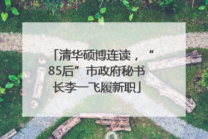 清华硕博连读，“85后”市政府秘书长李一飞履新职