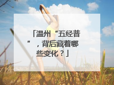 温州“五经普”，背后藏着哪些变化？