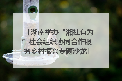 湖南举办“湘社有为”社会组织协同合作服务乡村振兴专题沙龙