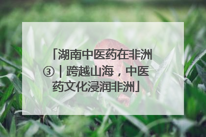 湖南中医药在非洲③｜跨越山海，中医药文化浸润非洲