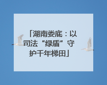湖南娄底：以司法“绿盾”守护千年梯田