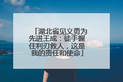 湖北省见义勇为先进王成：徒手握住利刃救人，这是我的责任和使命