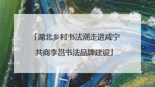 湖北乡村书法潮走进咸宁 共商李邕书法品牌建设