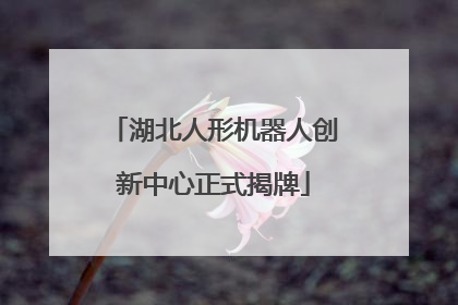 湖北人形机器人创新中心正式揭牌