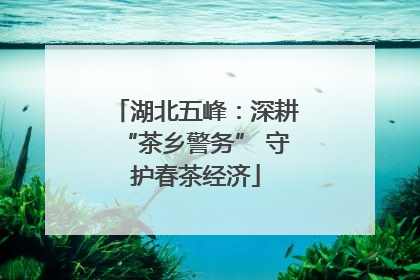 湖北五峰：深耕“茶乡警务” 守护春茶经济