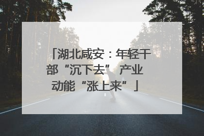 湖北咸安：年轻干部“沉下去” 产业动能“涨上来”