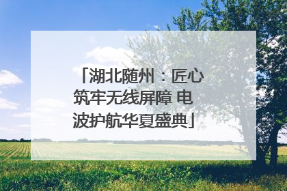 湖北随州：匠心筑牢无线屏障 电波护航华夏盛典
