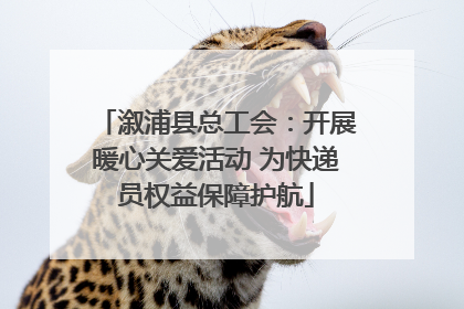 溆浦县总工会：开展暖心关爱活动 为快递员权益保障护航