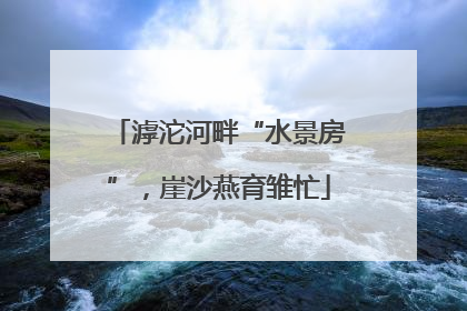 滹沱河畔“水景房”，崖沙燕育雏忙