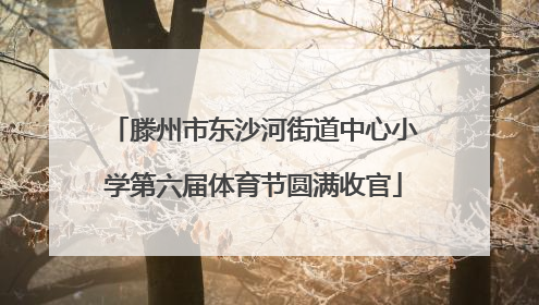 滕州市东沙河街道中心小学第六届体育节圆满收官