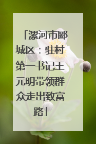 漯河市郾城区：驻村第一书记王元明带领群众走出致富路