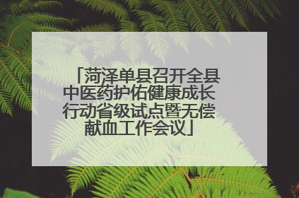 菏泽单县召开全县中医药护佑健康成长行动省级试点暨无偿献血工作会议