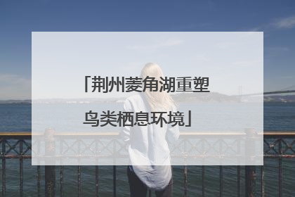荆州菱角湖重塑鸟类栖息环境