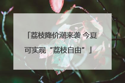 荔枝降价潮来袭 今夏可实现“荔枝自由”