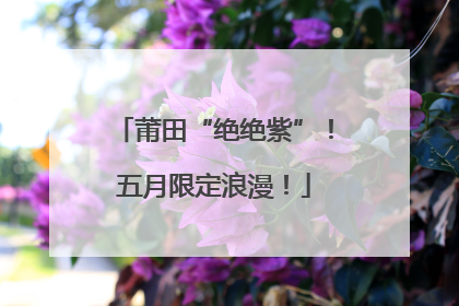 莆田“绝绝紫”！五月限定浪漫！