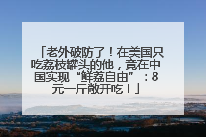 老外破防了！在美国只吃荔枝罐头的他，竟在中国实现“鲜荔自由”：8元一斤敞开吃！