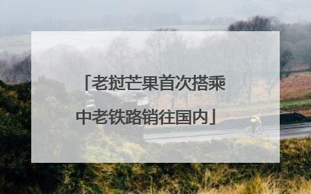 老挝芒果首次搭乘中老铁路销往国内