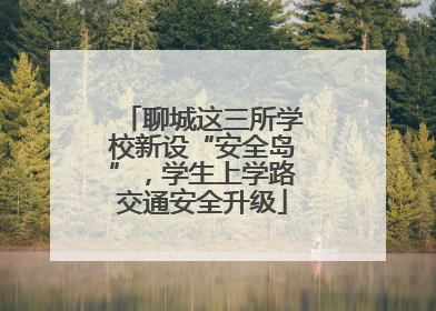 聊城这三所学校新设“安全岛”，学生上学路交通安全升级