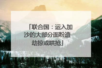 联合国：运入加沙的大部分面粉遭劫掠或哄抢