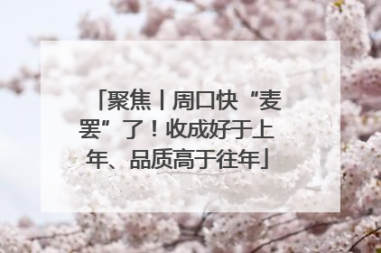 聚焦丨周口快“麦罢”了！收成好于上年、品质高于往年