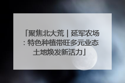 聚焦北大荒｜延军农场：特色种植带旺多元业态 土地焕发新活力