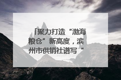 聚力打造“渤海粮仓”新高度，滨州市供销社谱写“三夏”丰收乐章