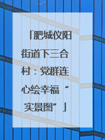 肥城仪阳街道下三合村：党群连心绘幸福“实景图”