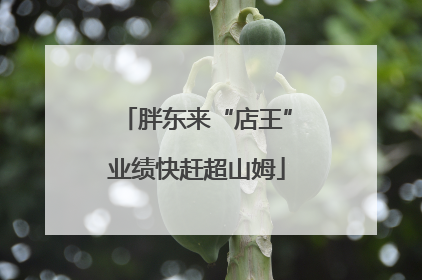 胖东来“店王”业绩快赶超山姆
