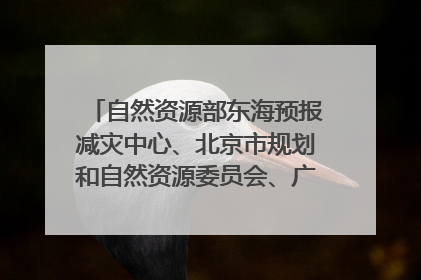 自然资源部东海预报减灾中心、北京市规划和自然资源委员会、广东省林业系统等正在招聘｜招聘信息
