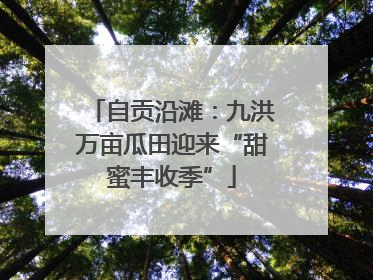 自贡沿滩：九洪万亩瓜田迎来“甜蜜丰收季”