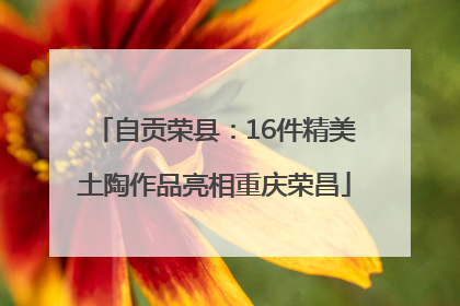 自贡荣县：16件精美土陶作品亮相重庆荣昌