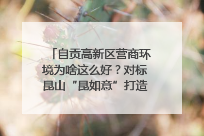 自贡高新区营商环境为啥这么好？对标昆山“昆如意”打造自贡“高兴办”｜美好生活有“盐”味