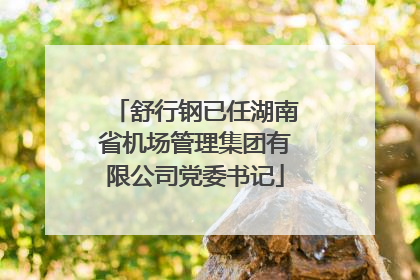 舒行钢已任湖南省机场管理集团有限公司党委书记
