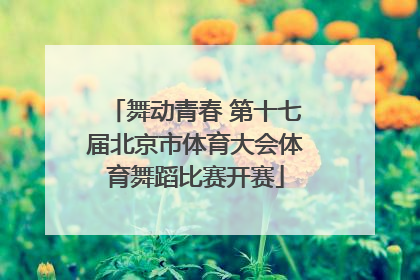 舞动青春 第十七届北京市体育大会体育舞蹈比赛开赛