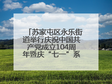 苏家屯区永乐街道举行庆祝中国共产党成立104周年暨庆“七一”系列活动