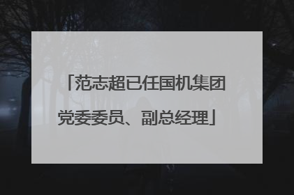 范志超已任国机集团党委委员、副总经理