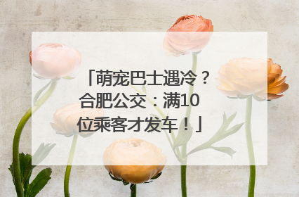 萌宠巴士遇冷？合肥公交：满10位乘客才发车！