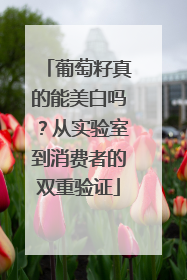 葡萄籽真的能美白吗？从实验室到消费者的双重验证