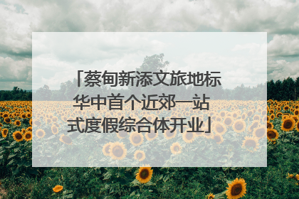 蔡甸新添文旅地标 华中首个近郊一站式度假综合体开业