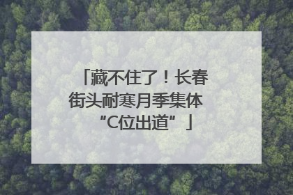 藏不住了！长春街头耐寒月季集体“C位出道”