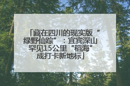 藏在四川的现实版“绿野仙踪”：宜宾深山罕见15公里“稻海”成打卡新地标