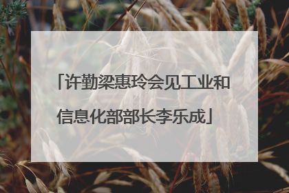 许勤梁惠玲会见工业和信息化部部长李乐成